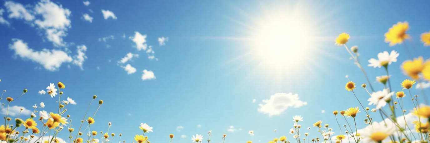 Sunshine